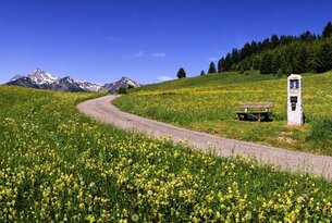 Weg durch grüne Wiese mit gelben Blumen, Bank am Wegesrand, Berge im Hintergrund unter blauem Himmel