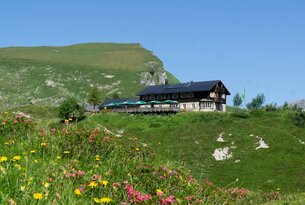 Berghütte mit Terrasse auf grüner Wiese vor Bergkulisse unter blauem Himmel