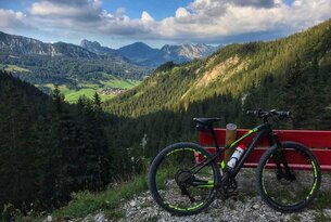 Mountain bike in front of mountain landscape with forest and cloudy sky