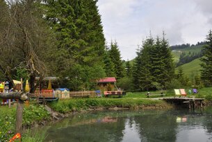Teich mit Spielplatz und Bäumen im Hintergrund