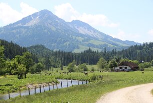 Berglandschaft mit Wiese, Bach, Kühen und einem Haus am Waldrand