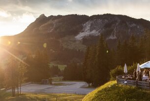 Berglandschaft mit Wald und Wiese im goldenen Abendlicht