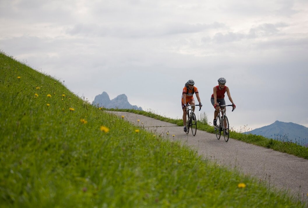 Zwei Radfahrer fahren auf einer Straße durch grüne Hügellandschaft