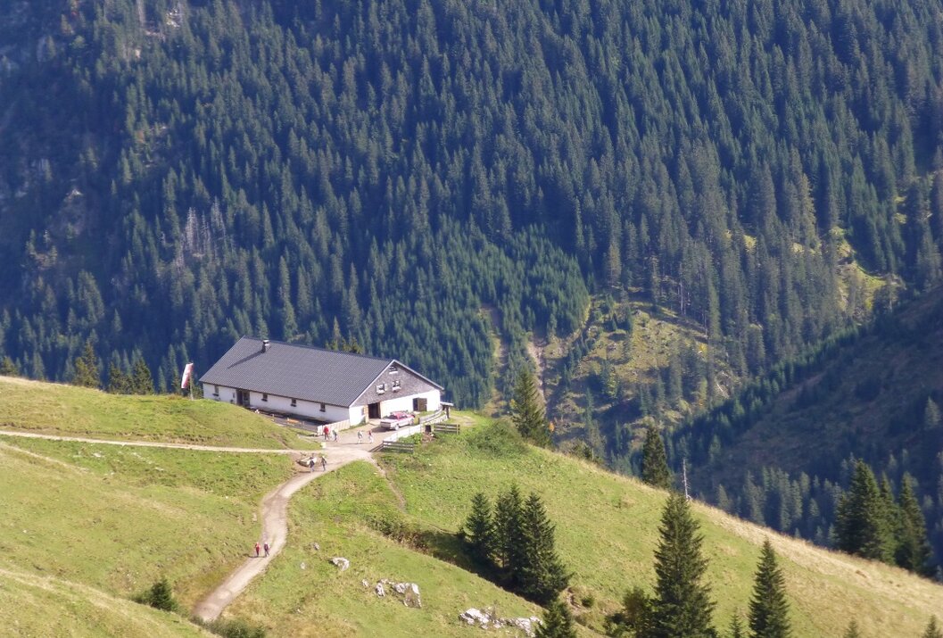 Hütte auf grünem Hügel vor dichtem Wald