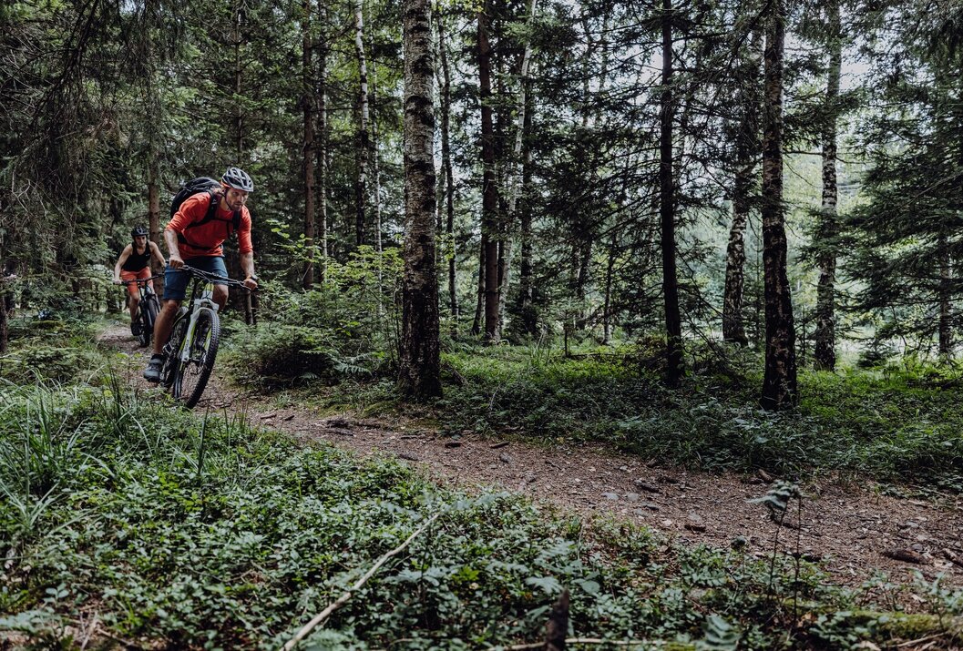 Mountainbiker fährt auf einem Waldweg zwischen Bäumen