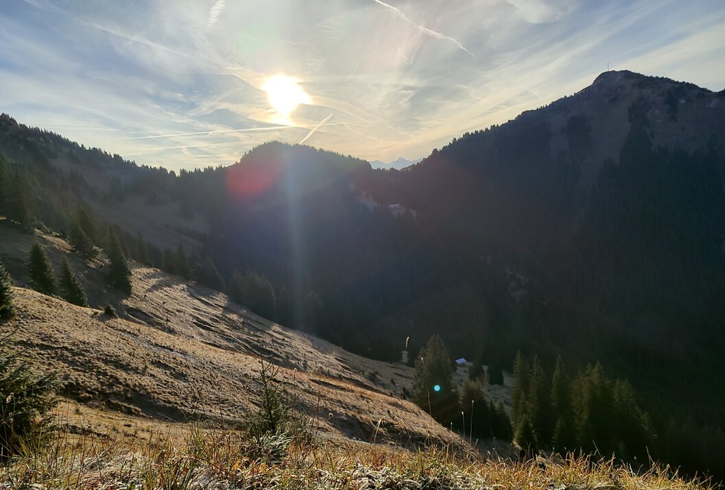 Sonniger Tag in den Bergen mit Wiesen und Bäumen im Gegenlicht