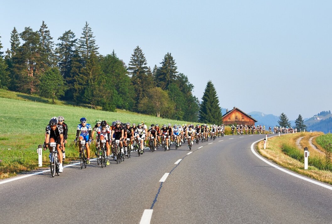 Radrennen auf asphaltierter Straße vor grüner Landschaft