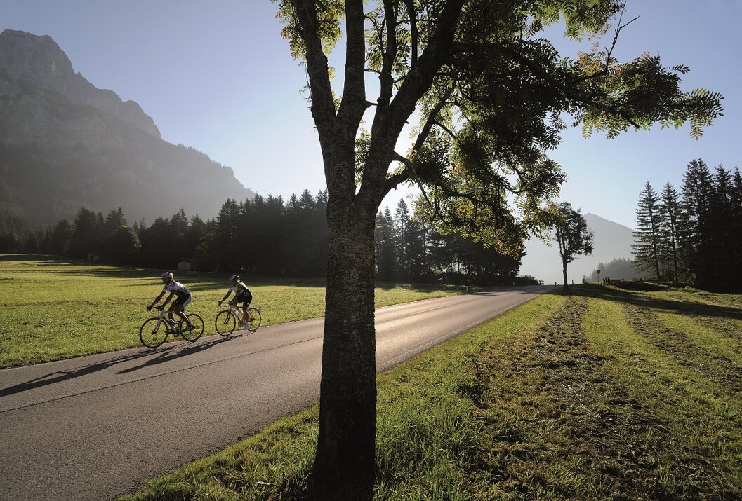 Zwei Radfahrer auf Landstraße vor Bergkulisse, Baum im Vordergrund