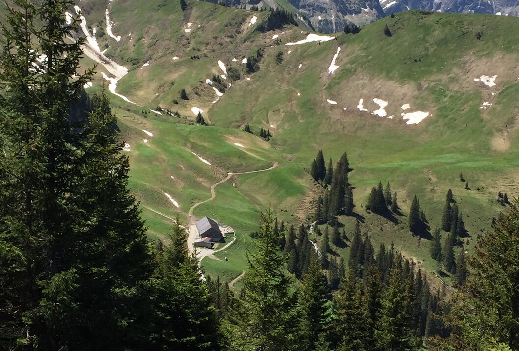 Berglandschaft mit grünen Wiesen, vereinzelten Bäumen, einem Haus und schneebedeckten Gipfeln im Hintergrund