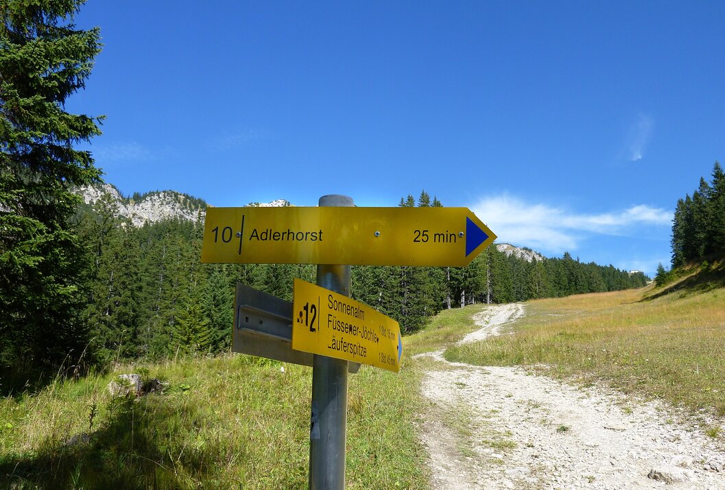 Gelbe Wanderwegweiser zeigen Richtung Adlerhorst und Sonnenalm an einem sonnigen Tag