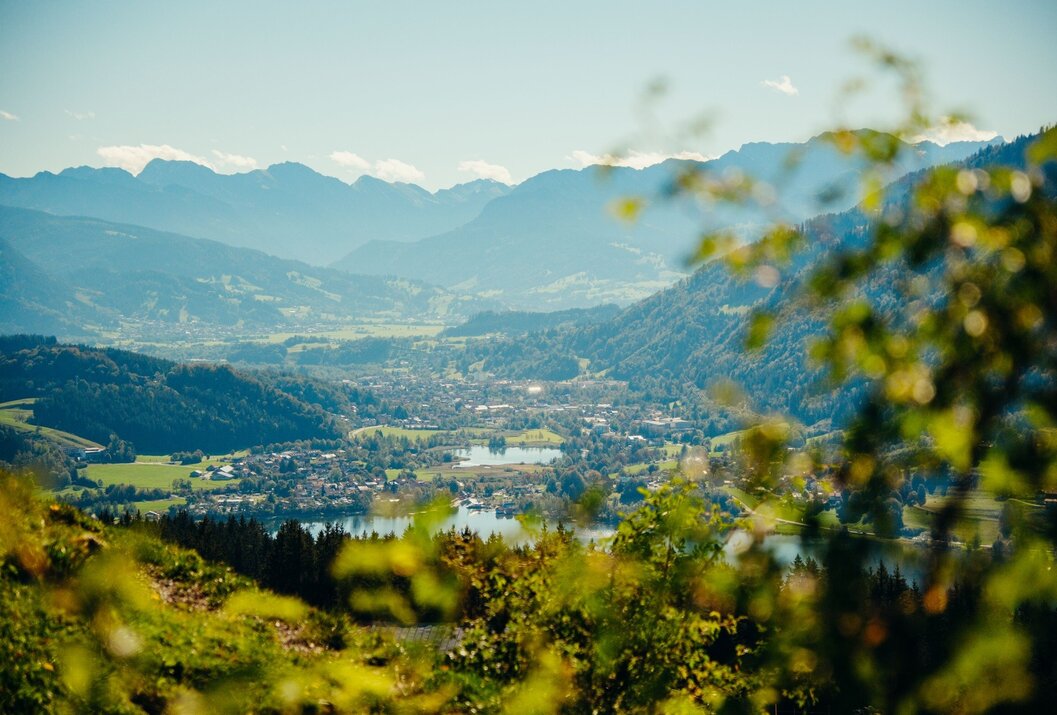 Berglandschaft mit See und Ortschaft im Tal, im Vordergrund Äste und Blätter