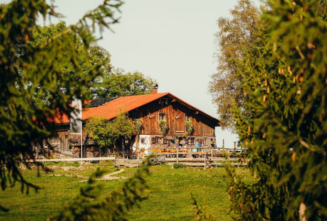 Holzhaus mit rotem Dach auf einer grünen Wiese, umrahmt von Bäumen