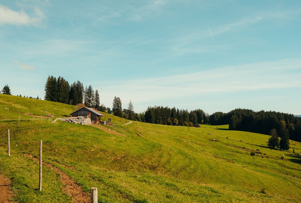Hütte auf grüner Wiese unter blauem Himmel mit Bäumen im Hintergrund