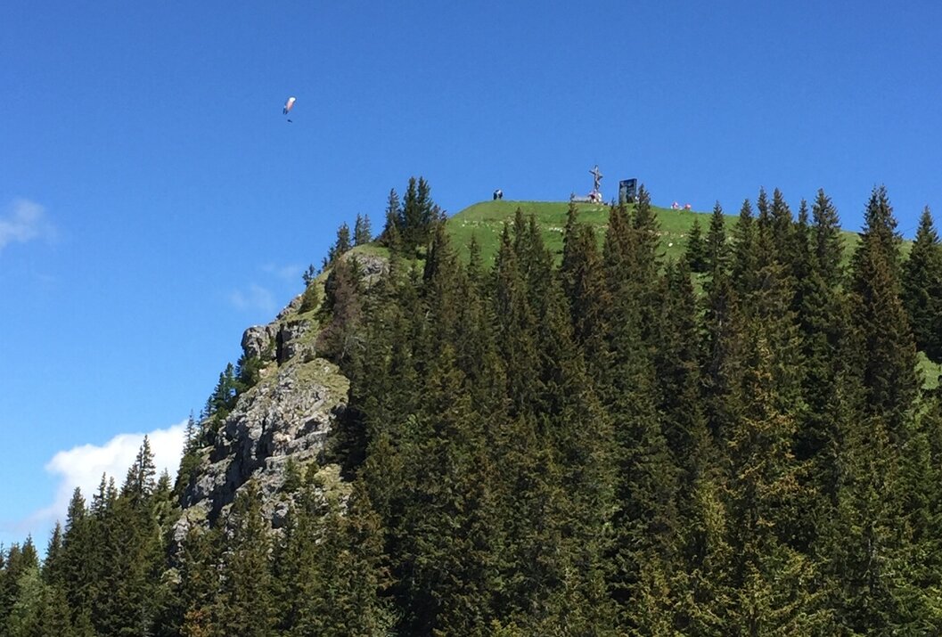 Bewaldeter Hügel unter blauem Himmel, im Hintergrund ein Gleitschirmflieger