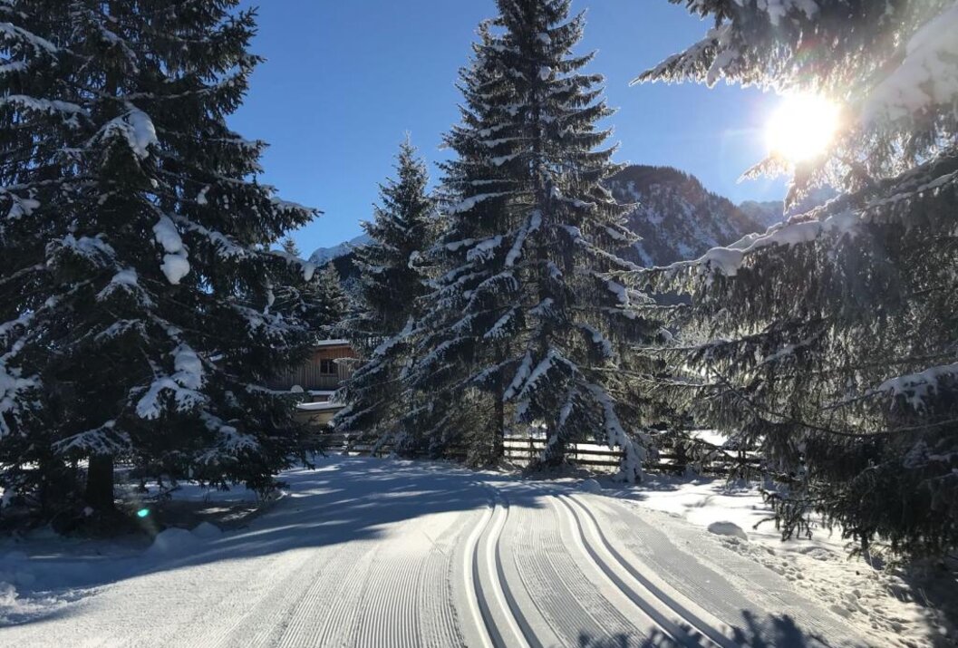 Verschneiter Weg zwischen Bäumen, Sonne scheint durch die Äste, Berge im Hintergrund