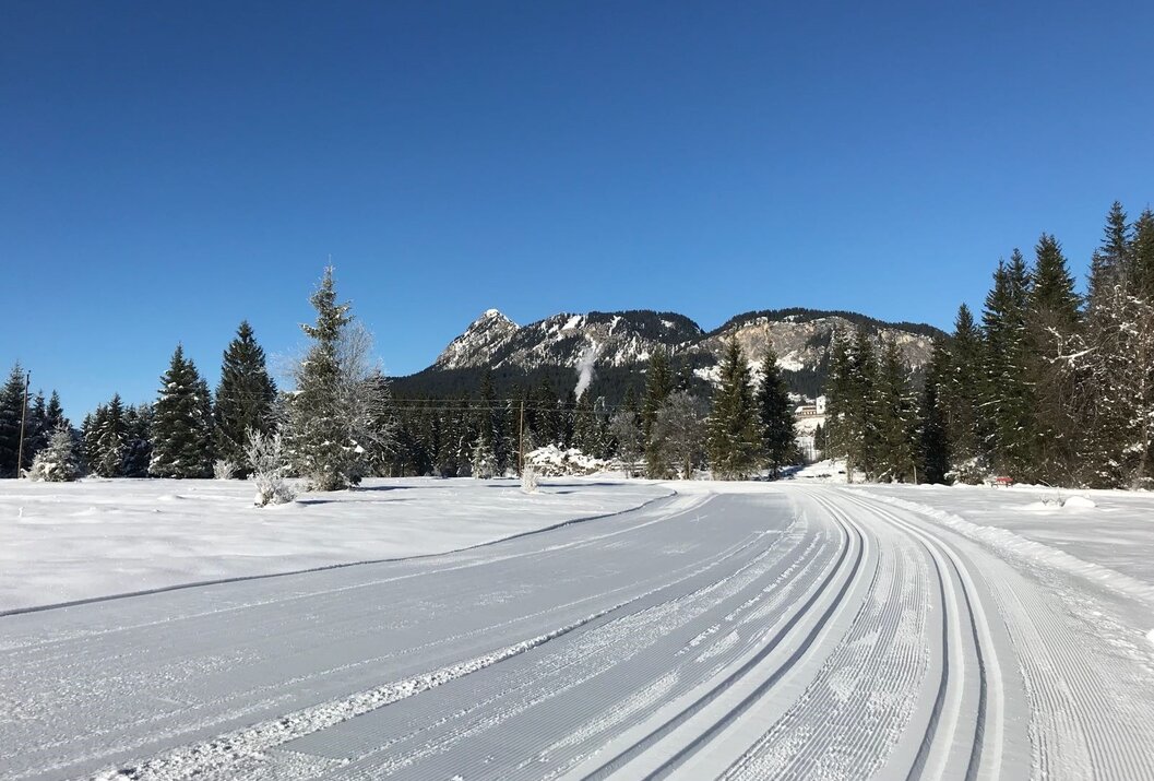 Verschneite Loipe vor Berglandschaft unter blauem Himmel