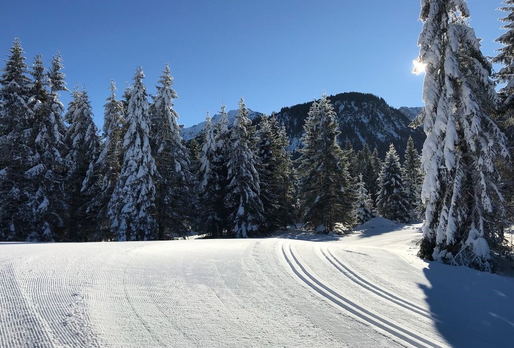Verschneite Landschaft mit Bäumen, Loipen und Bergen unter blauem Himmel