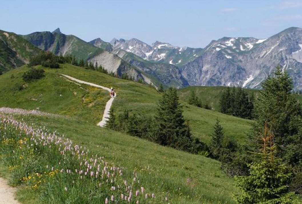 Berglandschaft mit Wanderweg, grünen Wiesen und schneebedeckten Gipfeln im Hintergrund