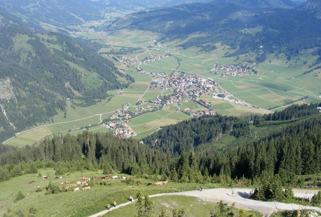 Blick von einem bewaldeten Berghang auf ein Tal mit einem Dorf