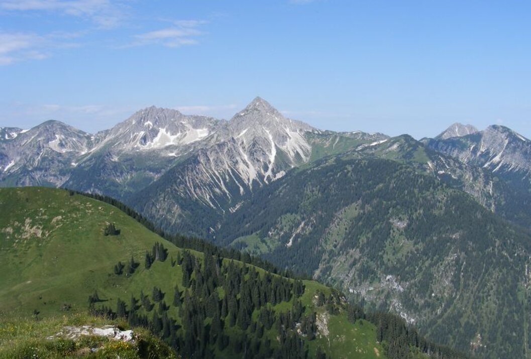 Berglandschaft mit grünen Hängen und schneebedeckten Gipfeln unter blauem Himmel