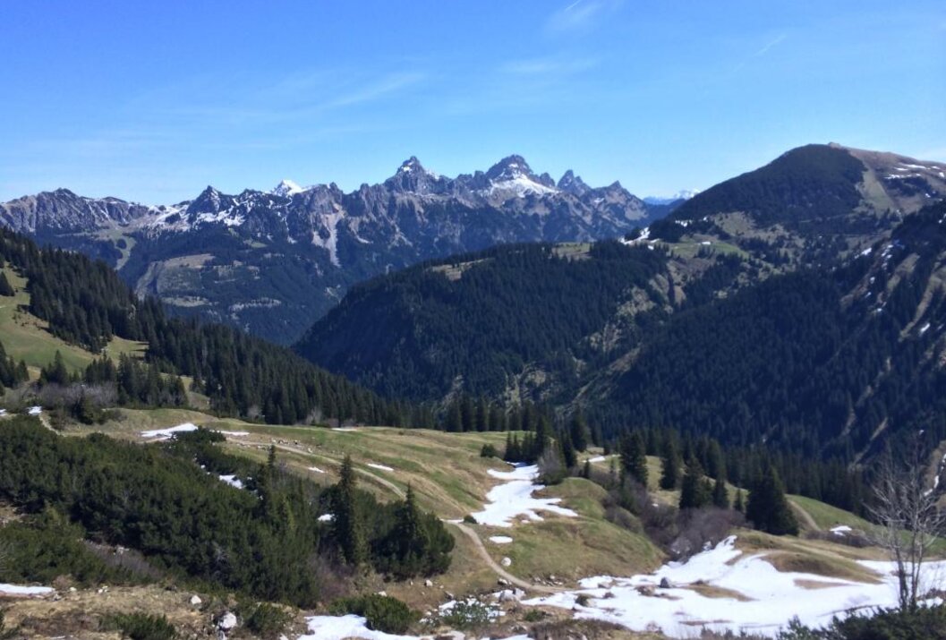 Berglandschaft mit Wiesen, Schnee und bewaldeten Hängen unter blauem Himmel