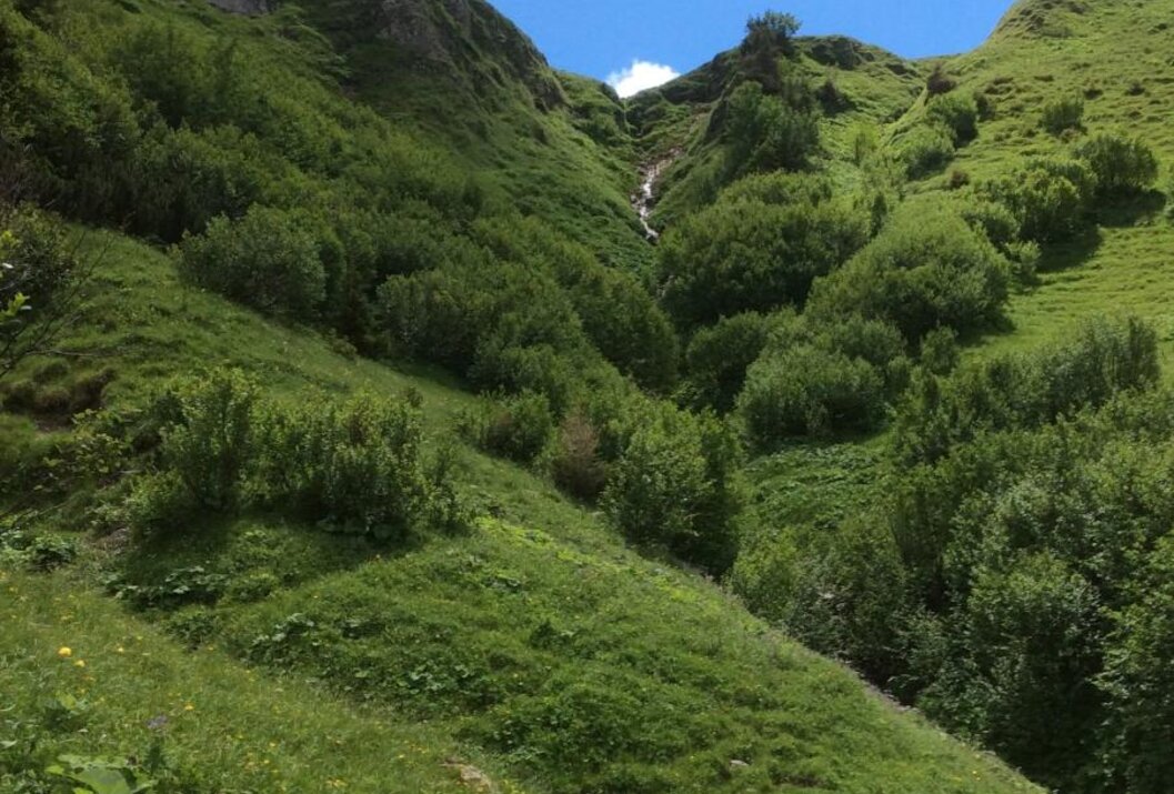 Grüne Hügellandschaft mit Bäumen und einem kleinen Wasserfall unter blauem Himmel