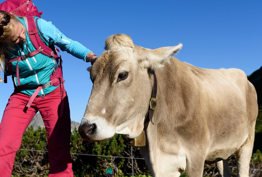 Frau streichelt hellbraune Kuh mit Glocke vor blauem Himmel