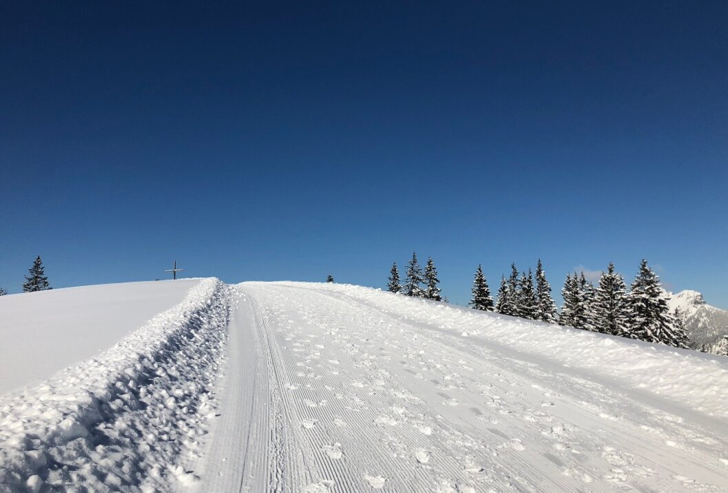 Verschneiter Weg führt bergauf unter blauem Himmel, flankiert von Schnee und Bäumen
