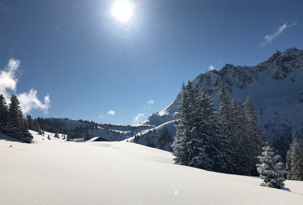 Verschneite Berglandschaft mit Tannenbäumen unter strahlender Sonne