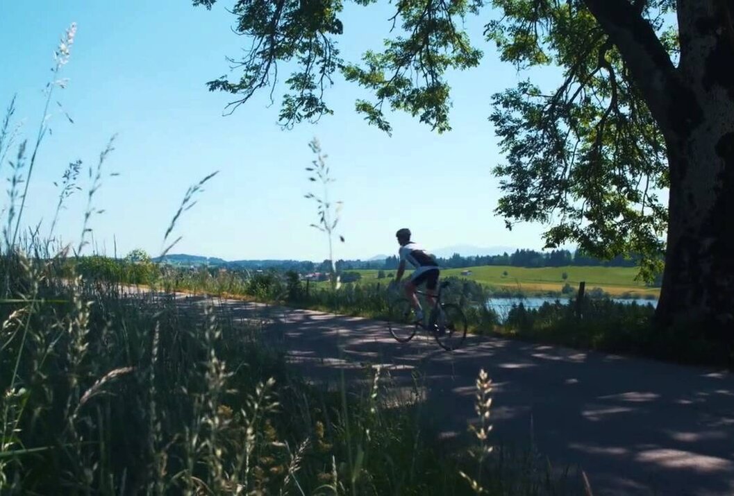 Radfahrer fährt auf Straße, Landschaft mit See im Hintergrund, Äste im Vordergrund
