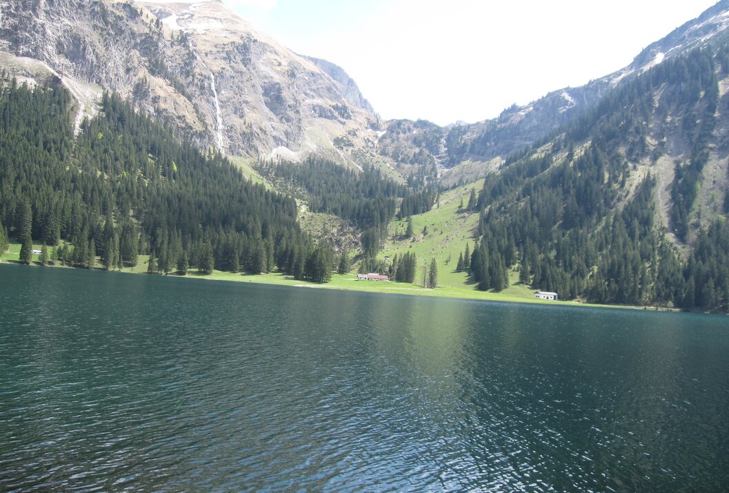 Bergsee umgeben von bewaldeten Bergen und grüner Wiese
