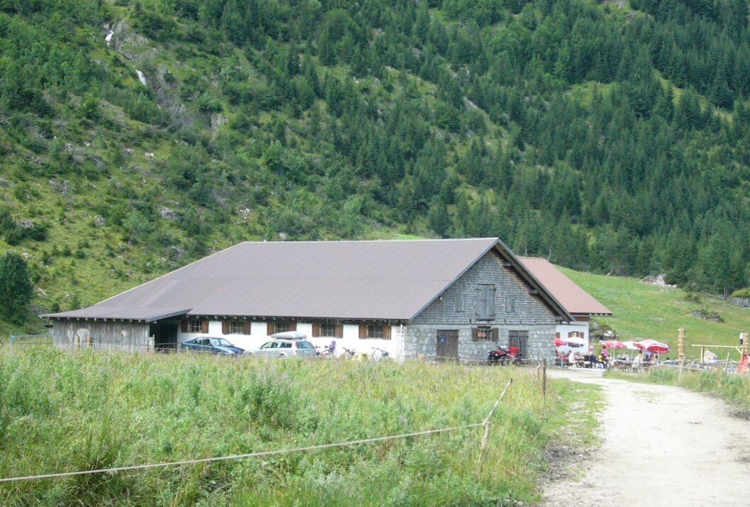 Bauernhaus vor bewaldetem Berghang mit Wiese und Weg im Vordergrund