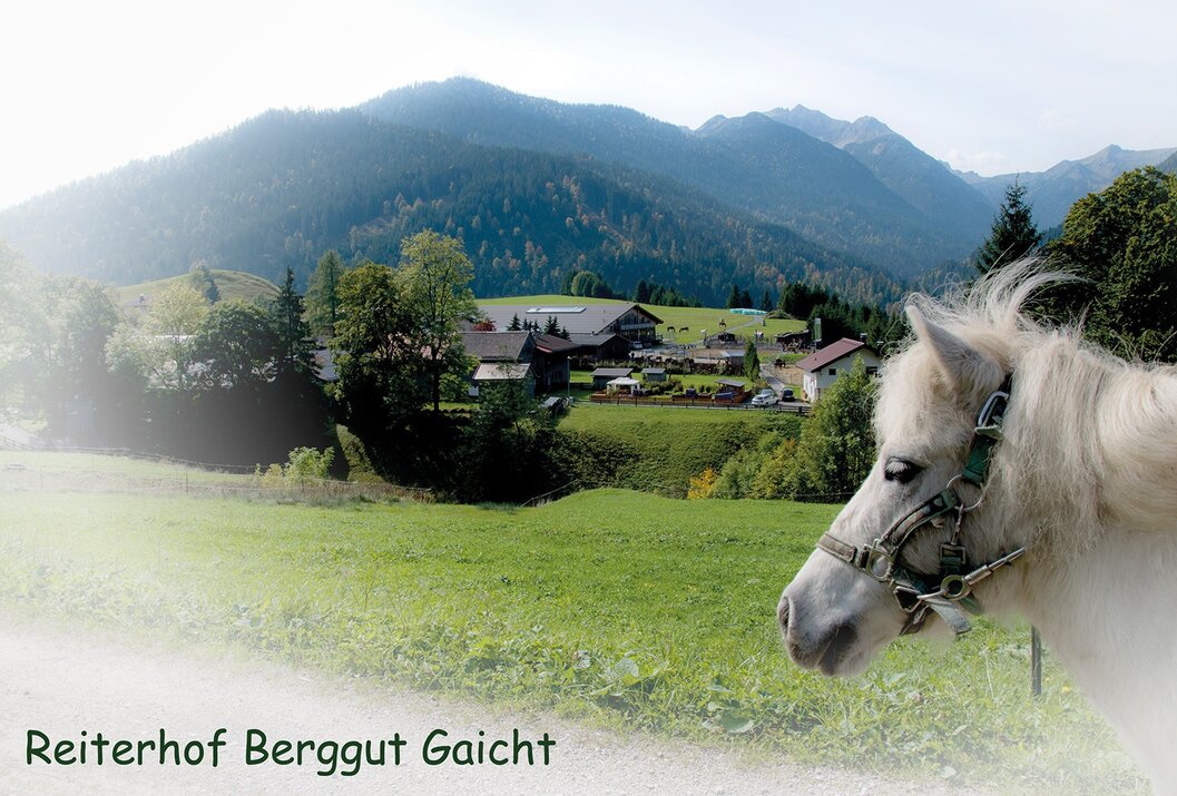 Ponykopf im Vordergrund, im Hintergrund grüne Wiese, Häuser und Berge
