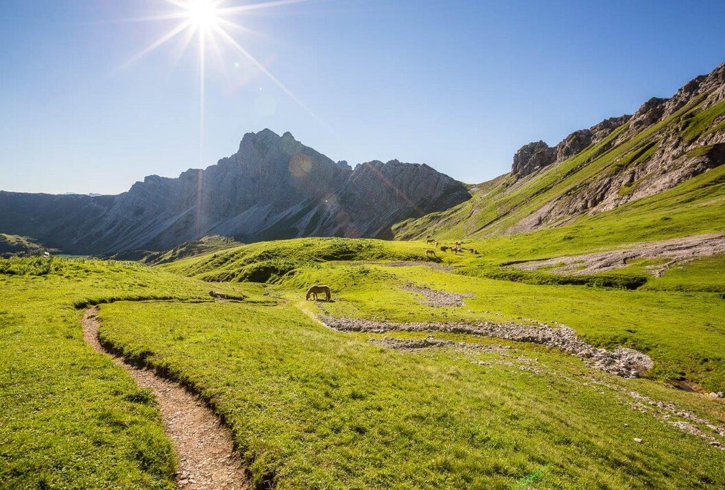 Grüne Berglandschaft mit Wanderweg, Pferd und strahlender Sonne