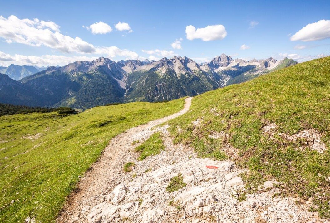 Wanderweg führt über grüne Hügel mit Bergpanorama unter blauem Himmel