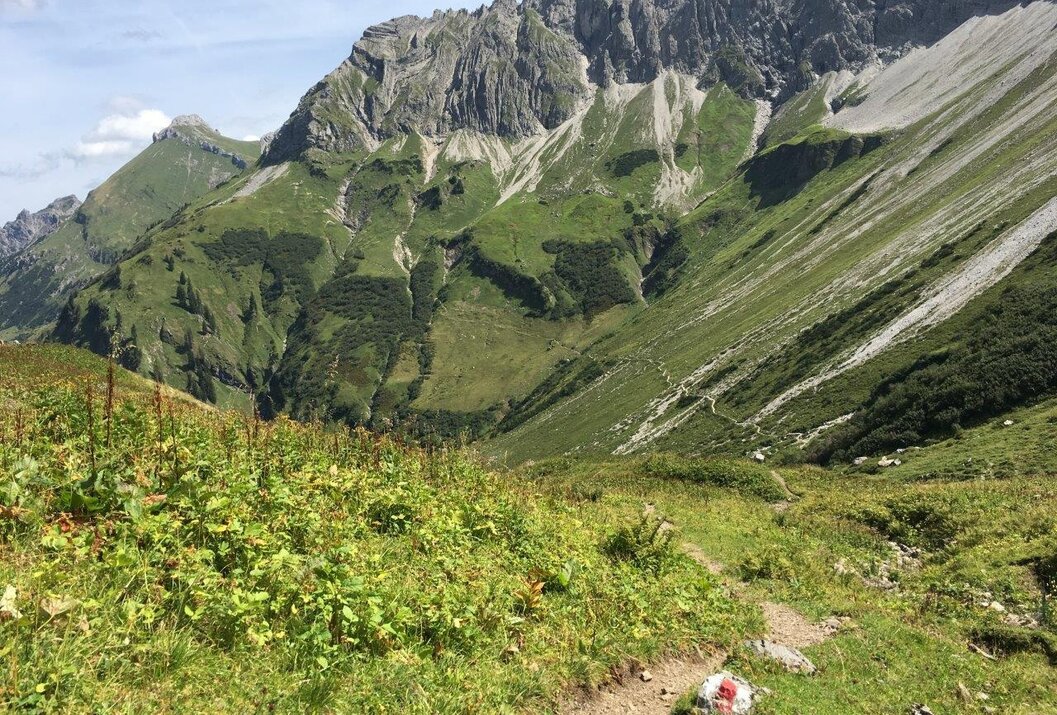 Grüne Berglandschaft mit steilen Felswänden unter blauem Himmel
