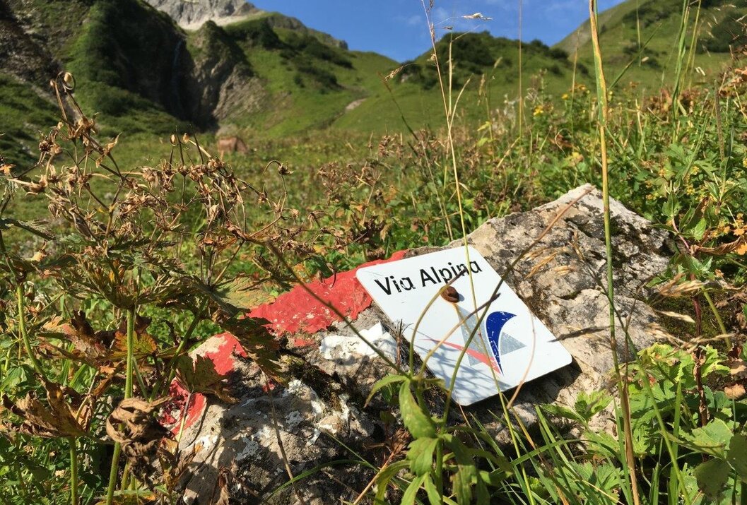 Wanderwegweiser Via Alpina vor Berglandschaft mit Wiesen und Felsen