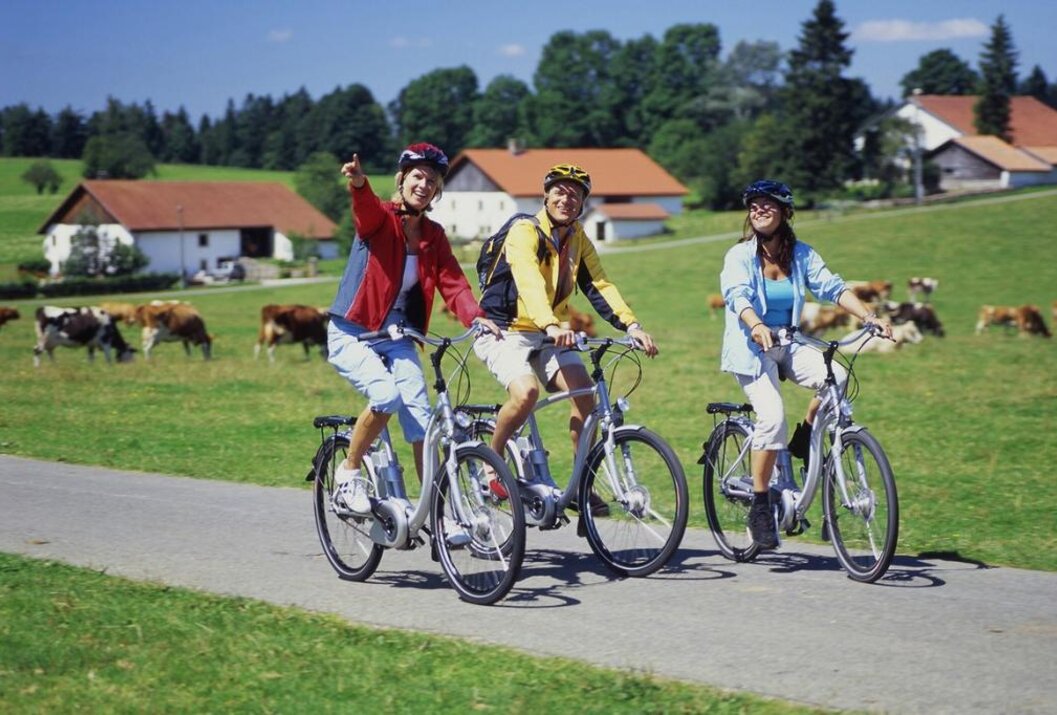 Drei Radfahrer auf einem Weg, ländliche Umgebung mit Häusern und Kühen im Hintergrund