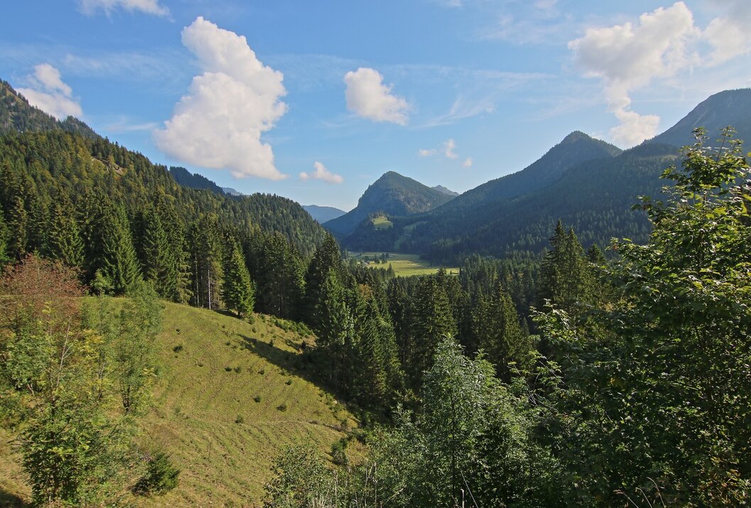 Grüne Hügel und Berge mit Wald unter blauem Himmel mit Wolken