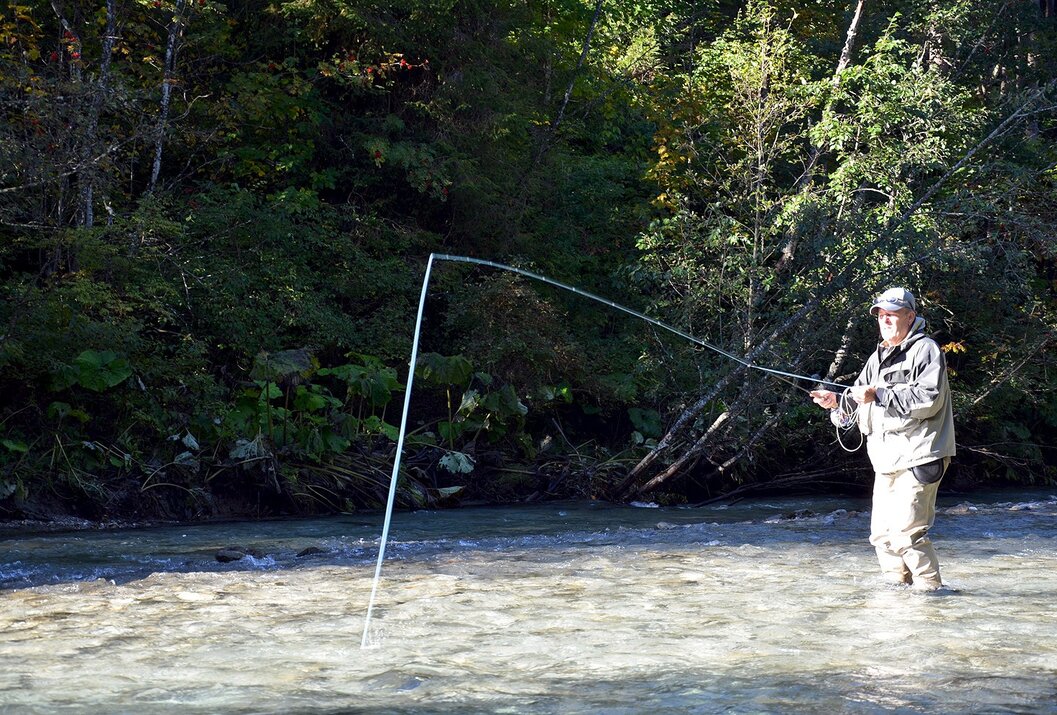 Angler steht im Fluss und wirft mit der Angel vor bewaldeter Kulisse