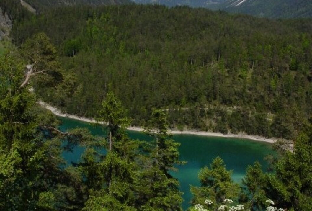 Türkisblauer See umgeben von Wald und Bergen im Hintergrund