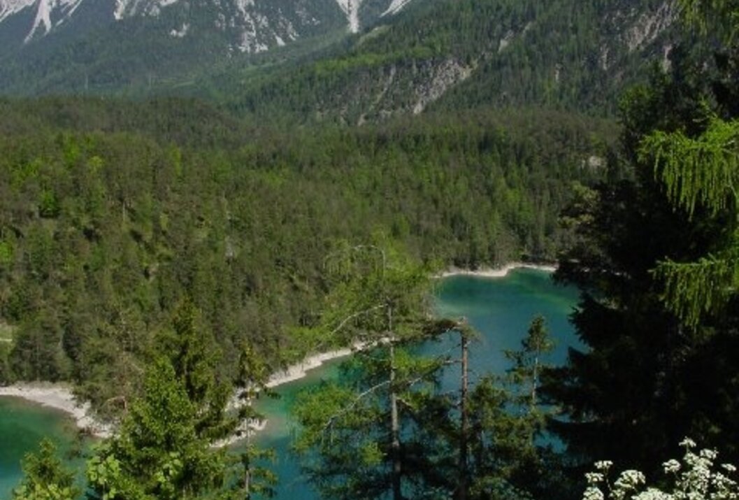Türkisblauer See umgeben von dichtem Wald und schneebedeckten Bergen im Hintergrund