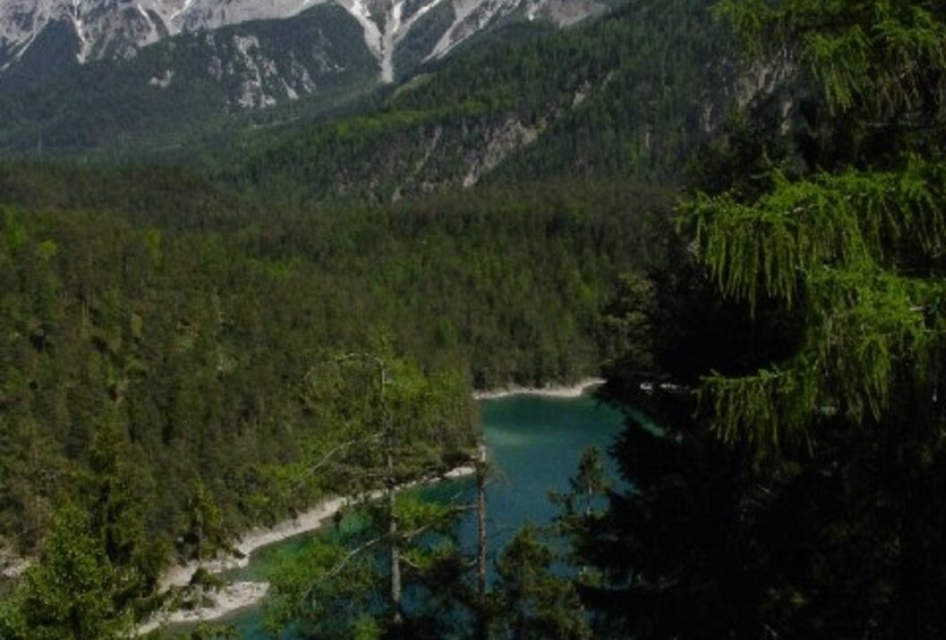 Bergsee umgeben von Wald, im Hintergrund schneebedeckte Berge