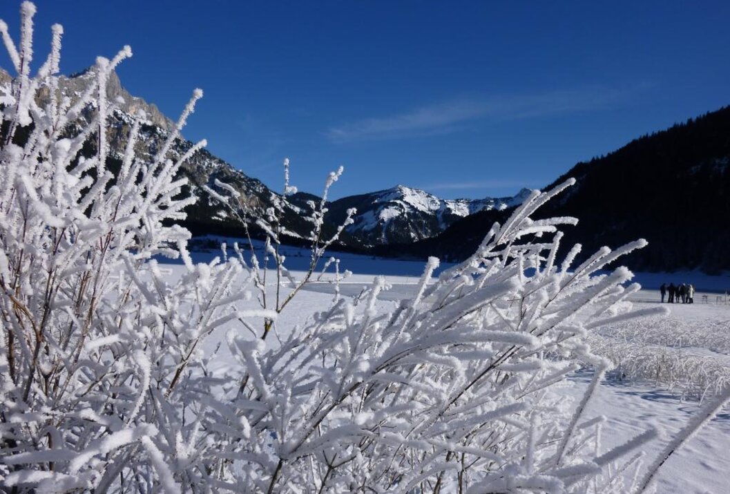 Winterlandschaft mit schneebedeckten Ästen, See und Bergen unter blauem Himmel
