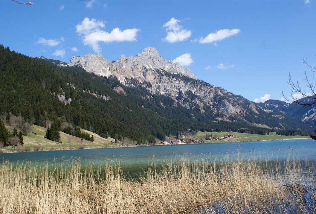 Bergsee mit Schilf im Vordergrund, bewaldeter Berghang und felsiger Gipfel unter blauem Himmel