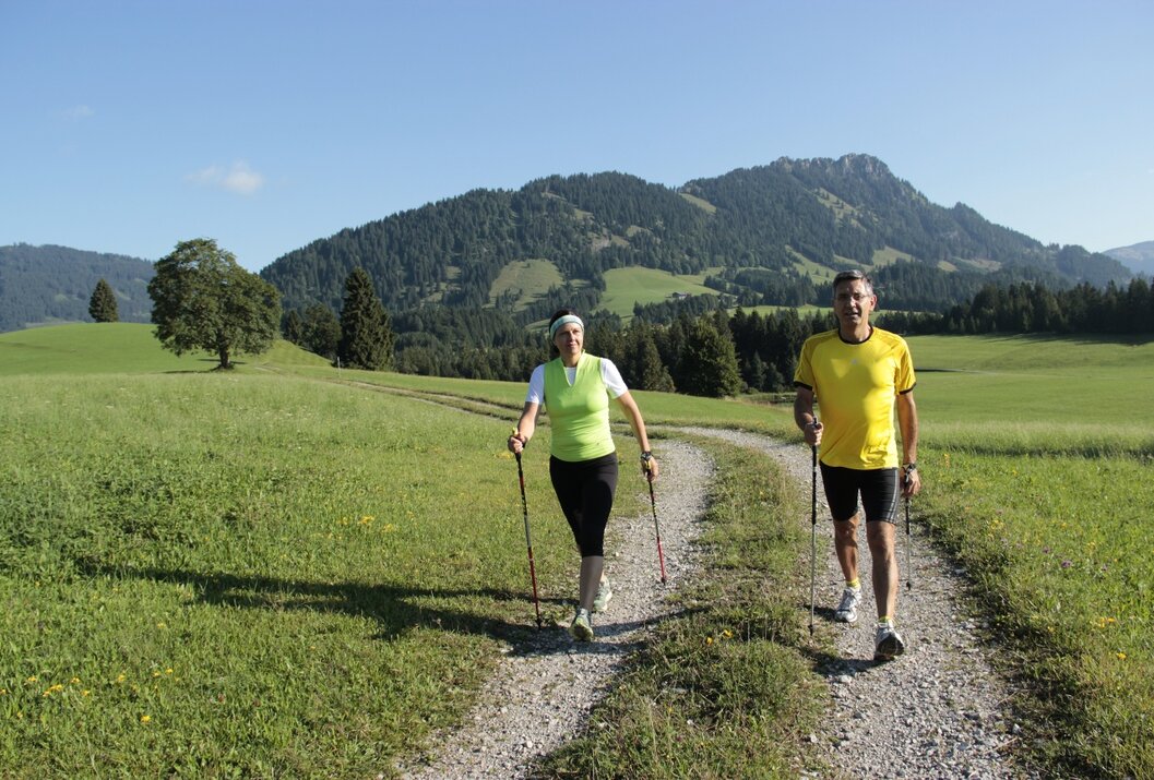 Zwei Personen beim Nordic Walking auf einem Feldweg vor Bergkulisse