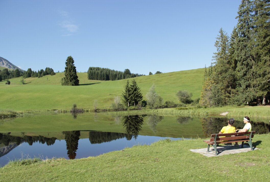 Idyllische Landschaft mit See, grüner Wiese, Bäumen und blauem Himmel