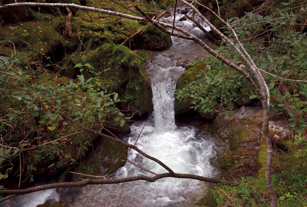 Kleiner Wasserfall in einem Bachlauf zwischen moosbewachsenen Steinen und Ästen im Wald