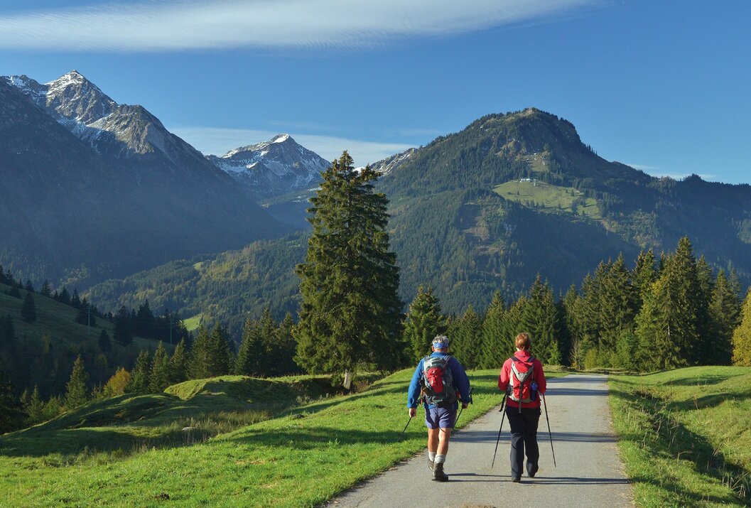 Wanderer auf Weg vor Bergpanorama mit blauem Himmel