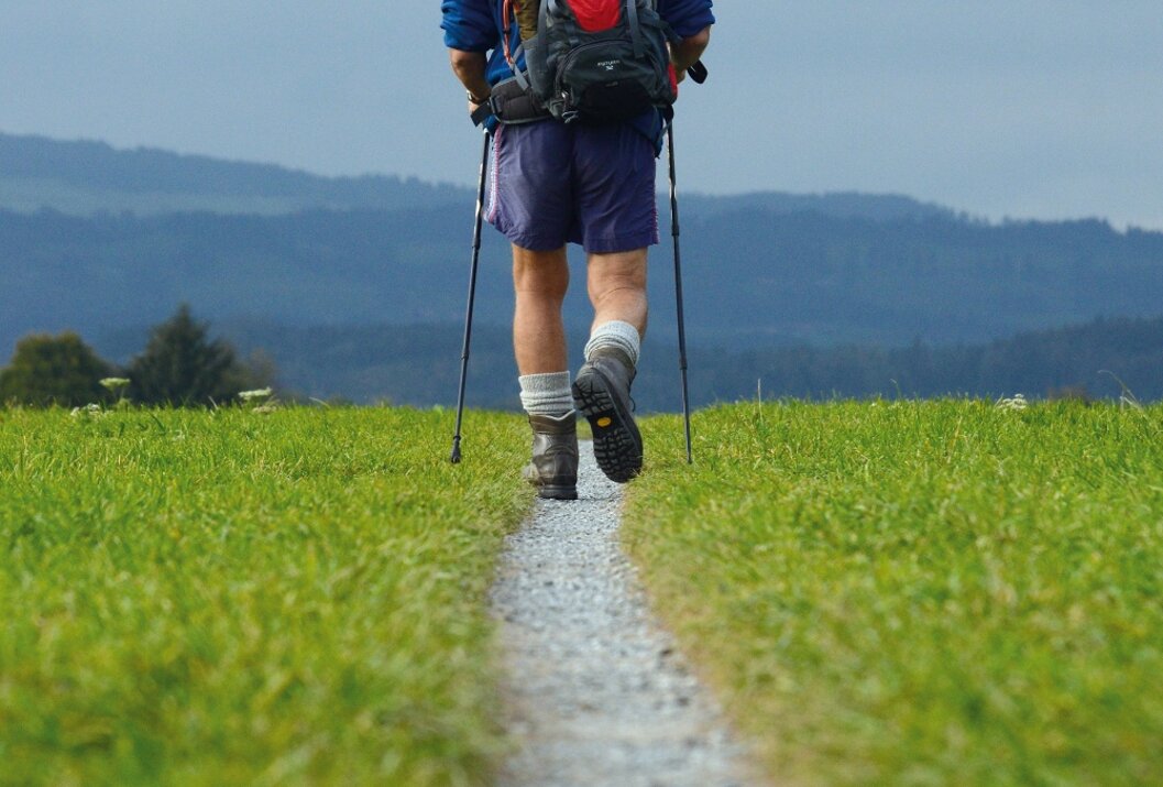 Wanderer mit Rucksack und Stöcken auf schmalem Pfad durch grüne Wiese